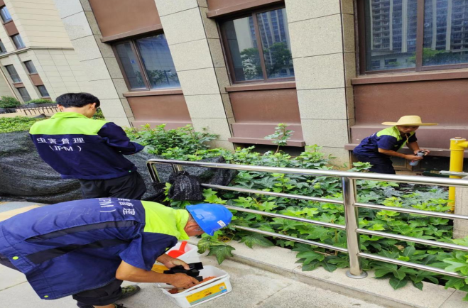 姜家山人民政府